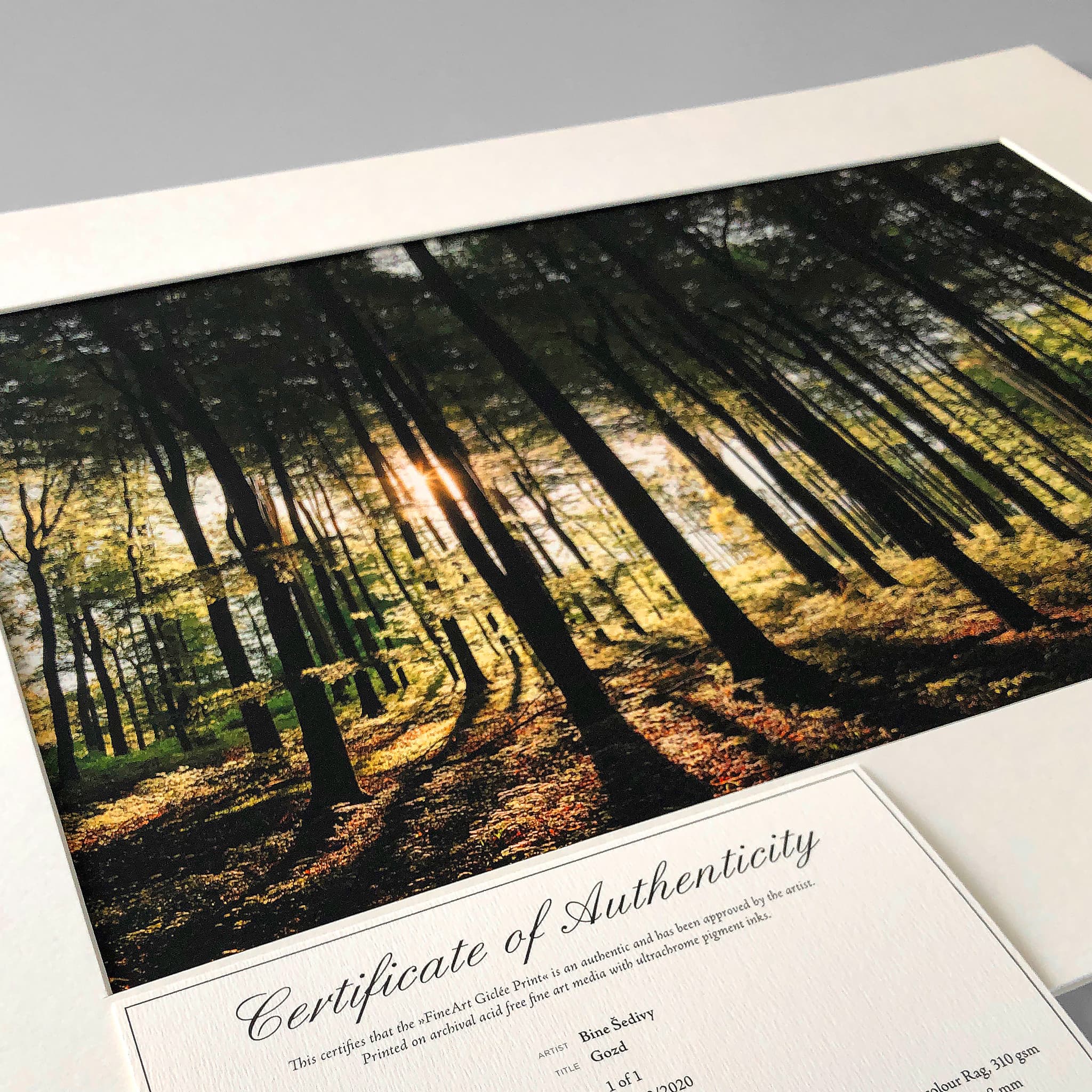 Giclee fine art print