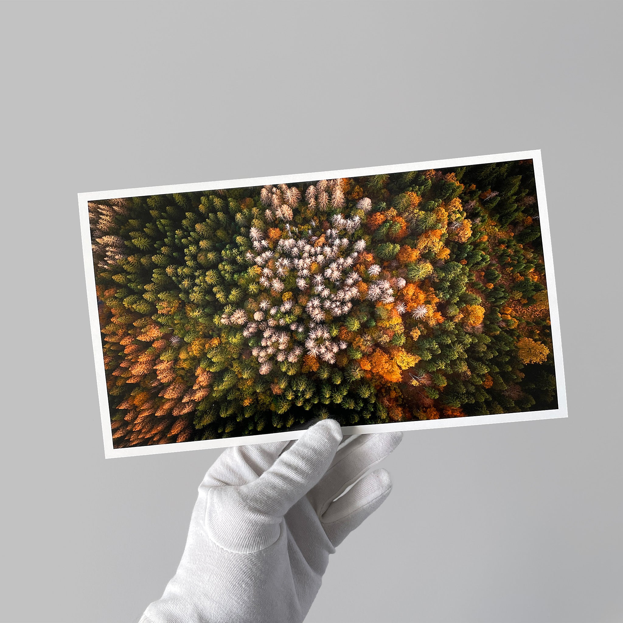 aGiclee fine art print