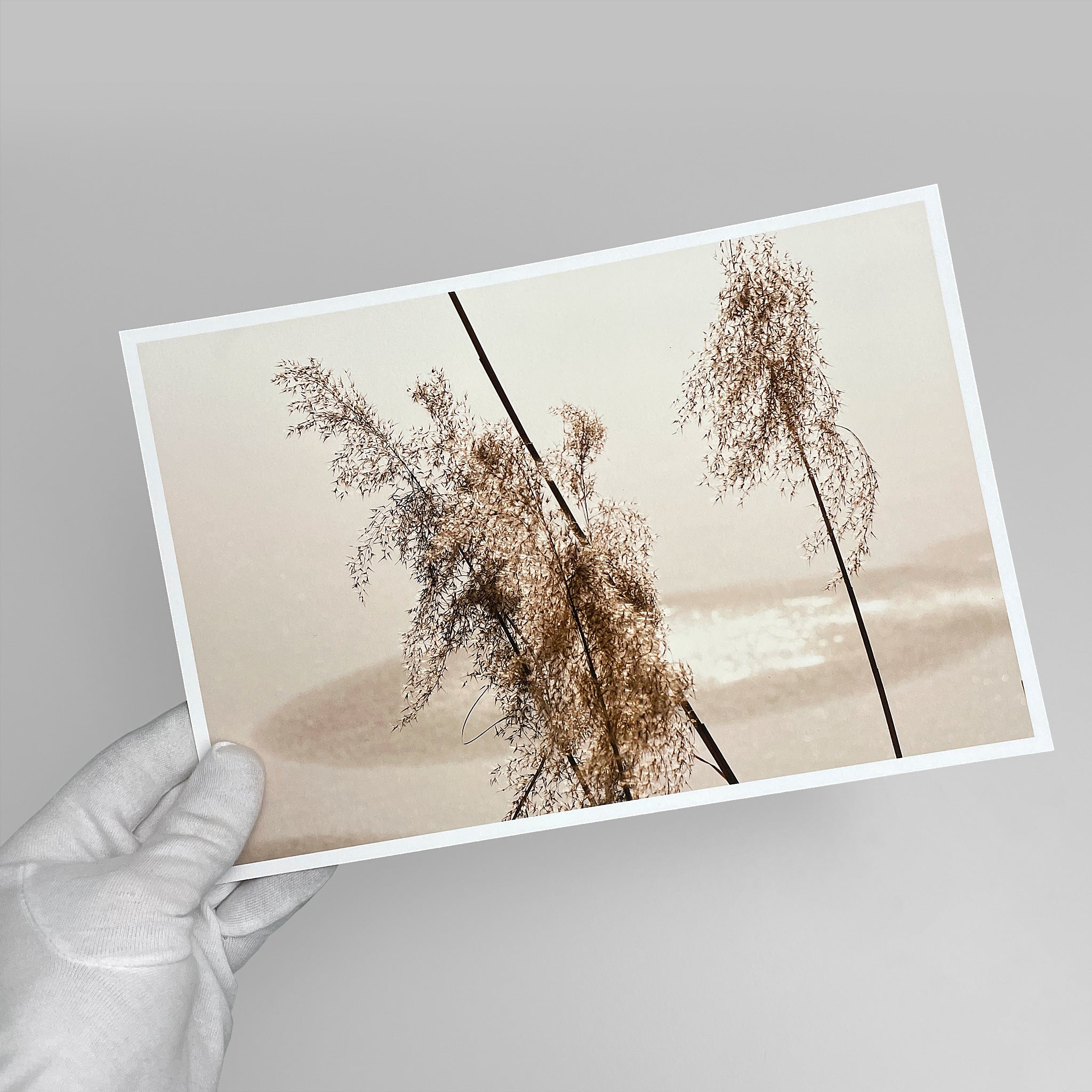 aGiclee fine art print