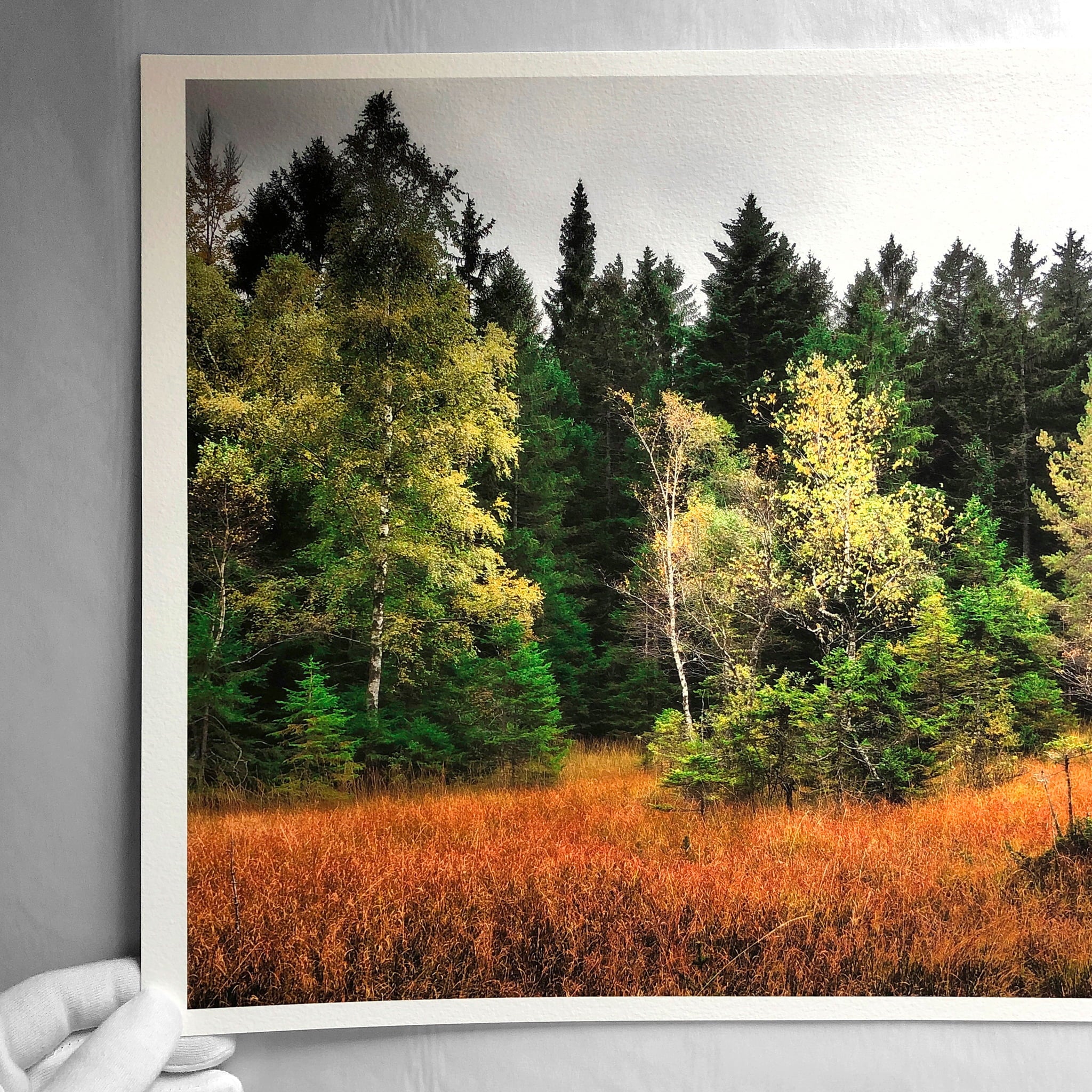 aGiclee fine art print