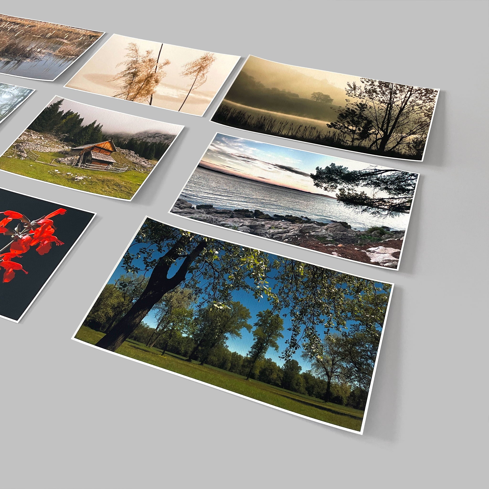 aGiclee fine art print