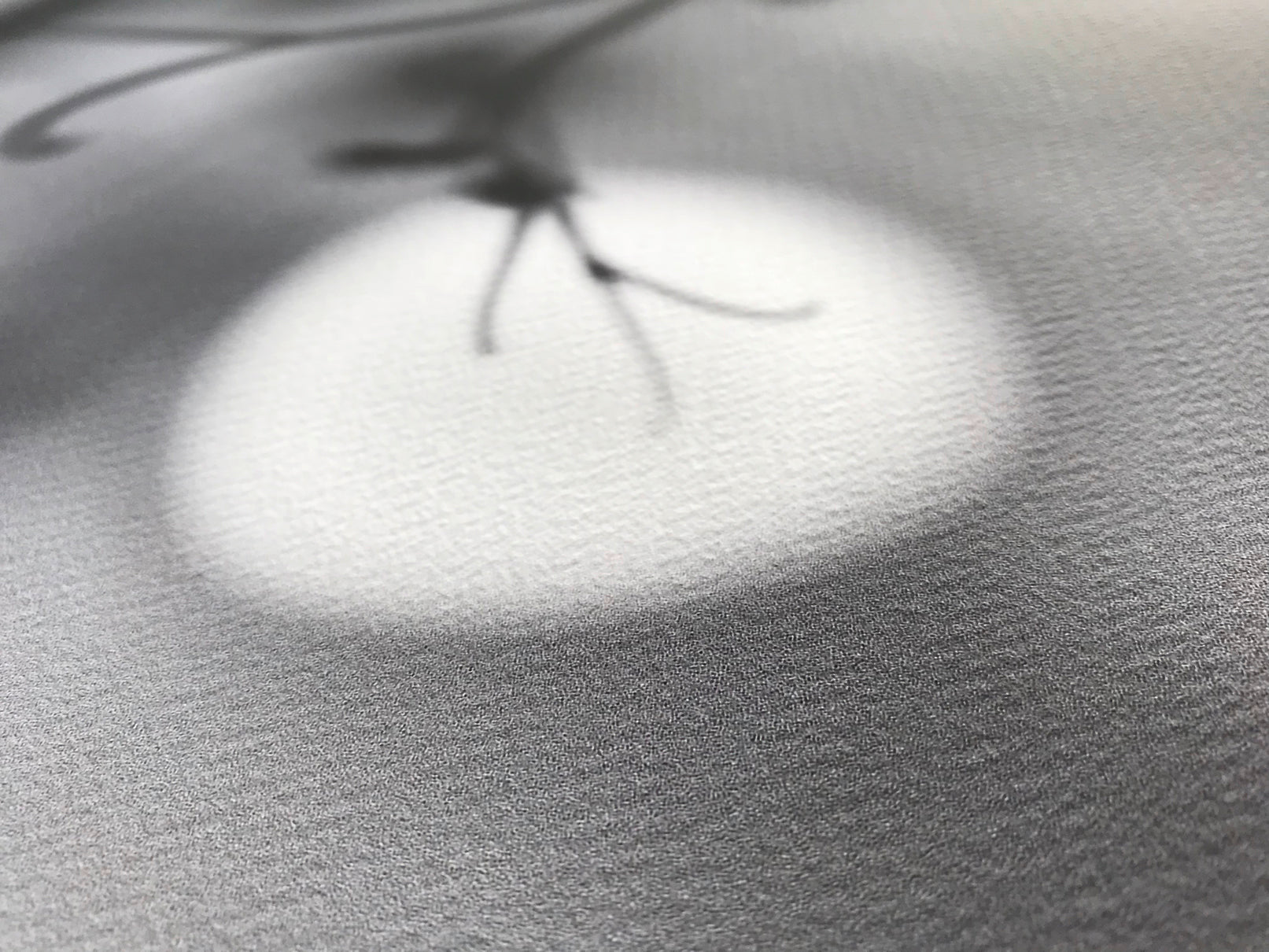 aGICLÉE™ PRINTS