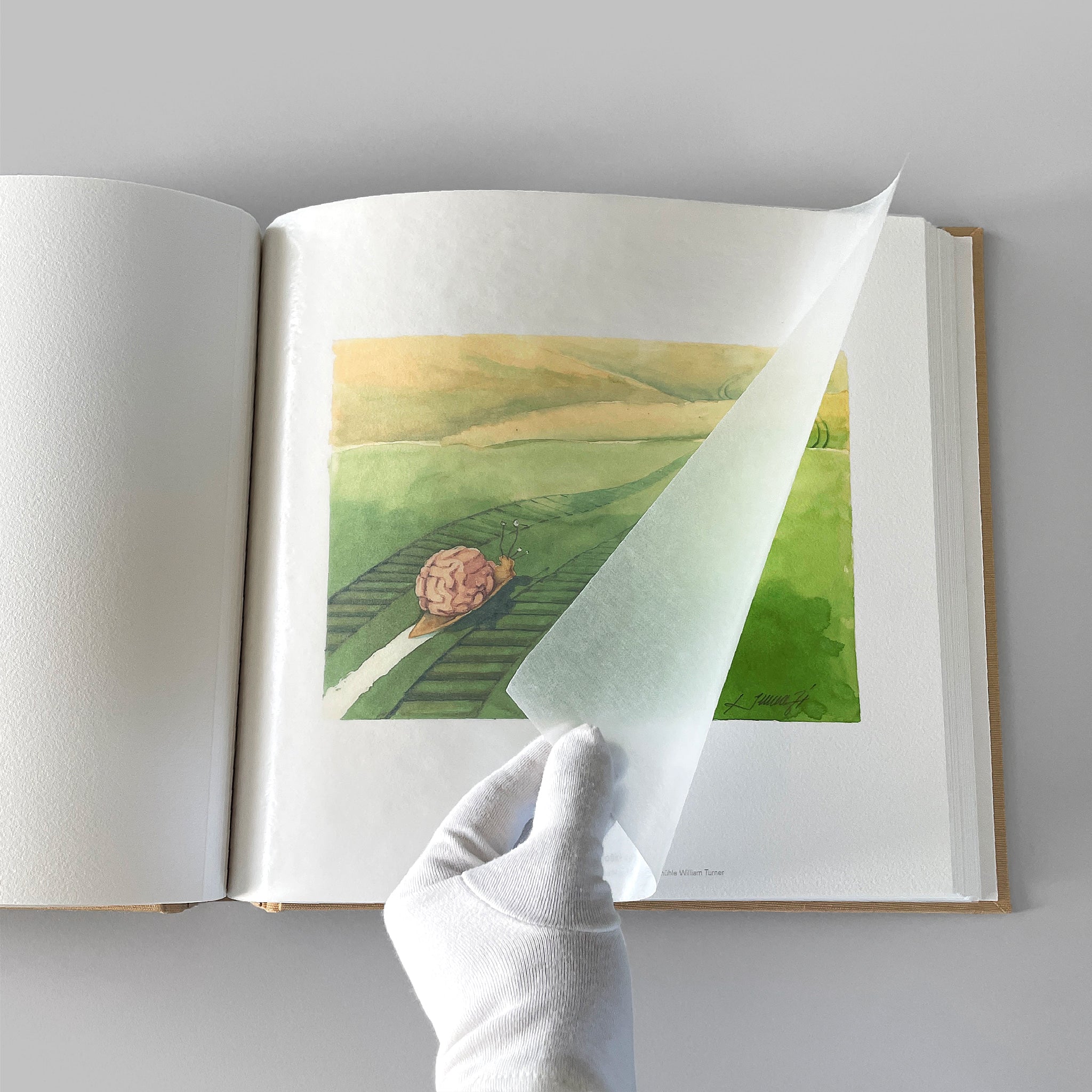 art book