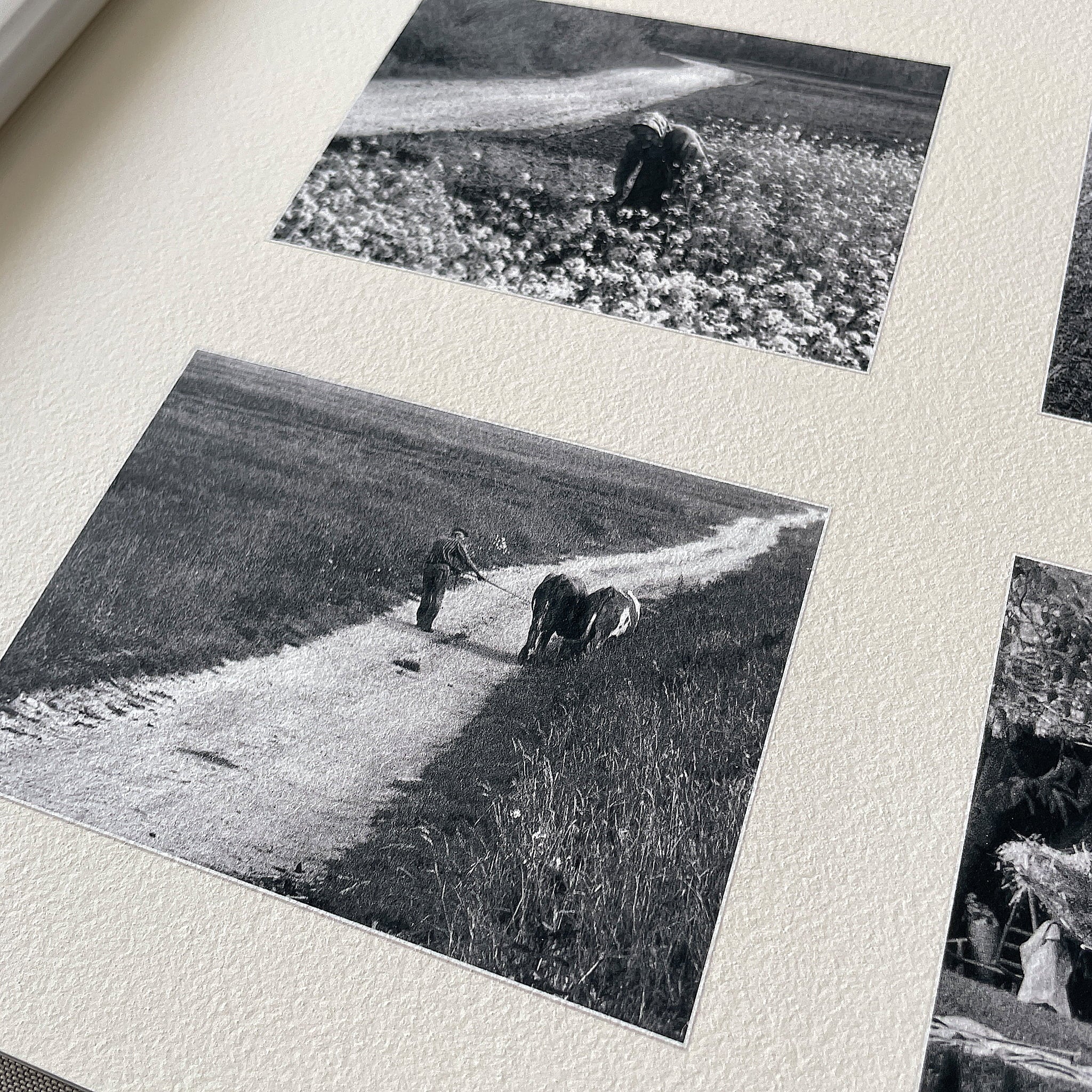 aGiclee fine art album print